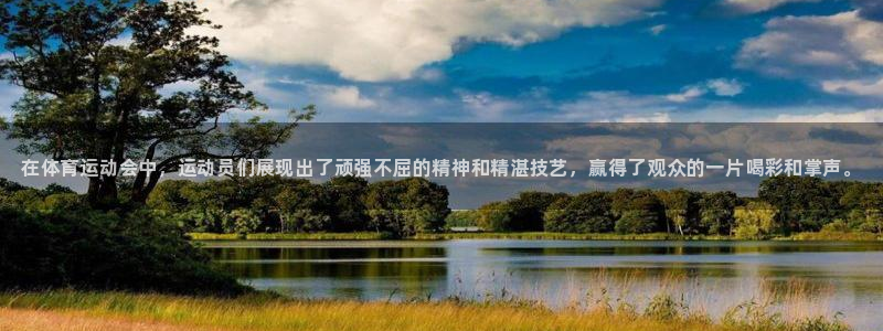 利记官网下载平台注册流程图：在体育运动会中，运动员们