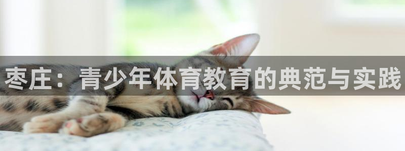 利记官网下载平台是正规平台吗知乎：枣庄：青少年体育教