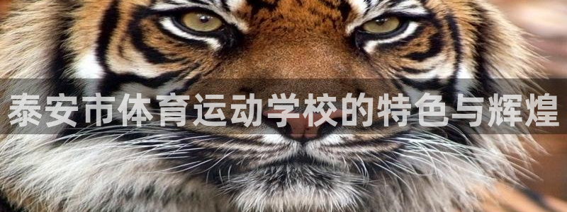 利记官方正版app娱乐40996：泰安市体育运动学校的特色与