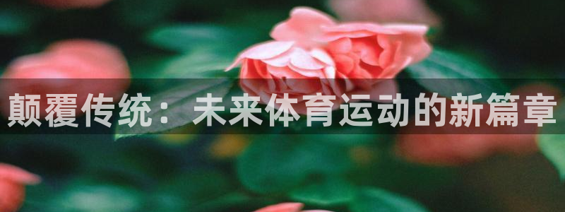 利记官网下载平台是正规平台吗：颠覆传统：未来体育运动