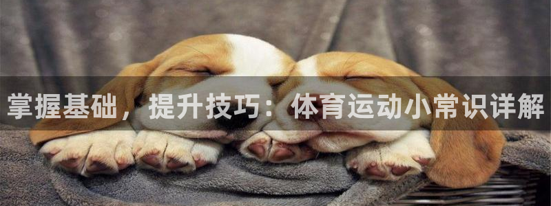 利记官网下载平台：掌握基础，提升技巧：体育运动小常识详解