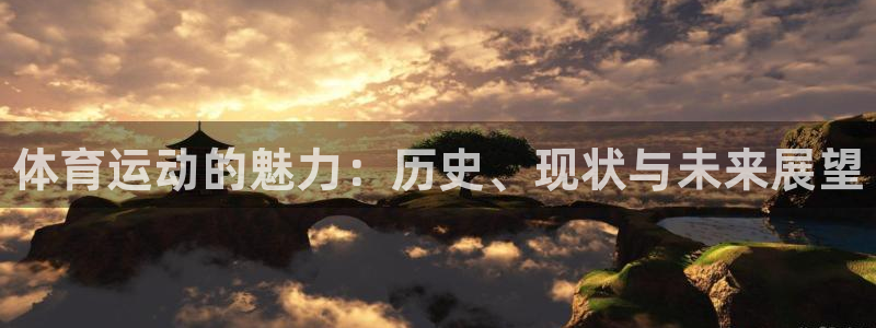 海南利记官网下载：体育运动的魅力：历史、现状与未来展望