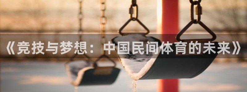 利记官网下载平台是正规平台吗安全吗：《竞技与梦想：中