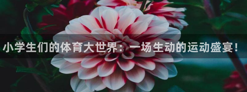 利记官方正版app娱乐平台：小学生们的体育大世界：一