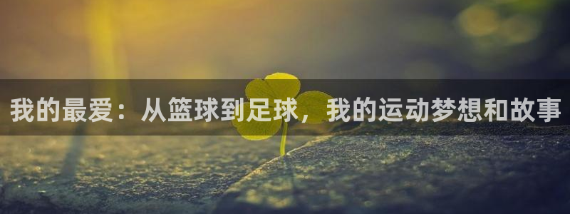 利记官方正版app娱乐平台：我的最爱：从篮球到足球，我的运动