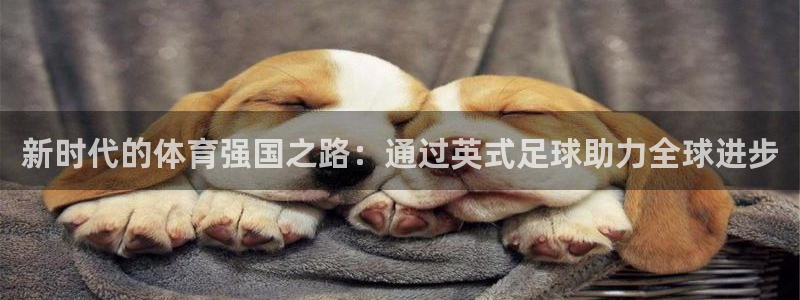 利记官方正版app娱乐是那个系列的台子：新时代的体育