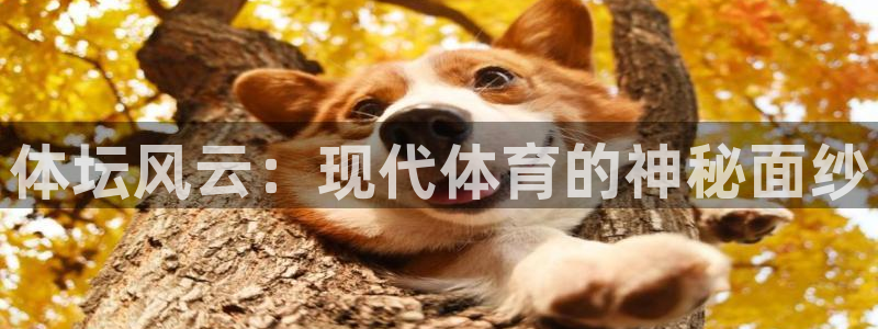 利记官方正版app集团官网首页网址：体坛风云：现代体