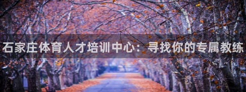 利记官网下载招商电话是多少号码：石家庄体育人才培训中