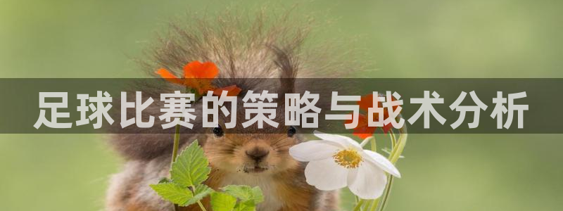 利记官网下载招商电话地址查询：足球比赛的策略与战术分