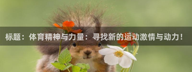 利记官方正版app神州：标题：体育精神与力量：寻找新的运动激