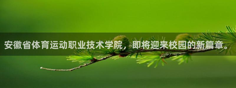 利记官网下载招商电话是多少号码