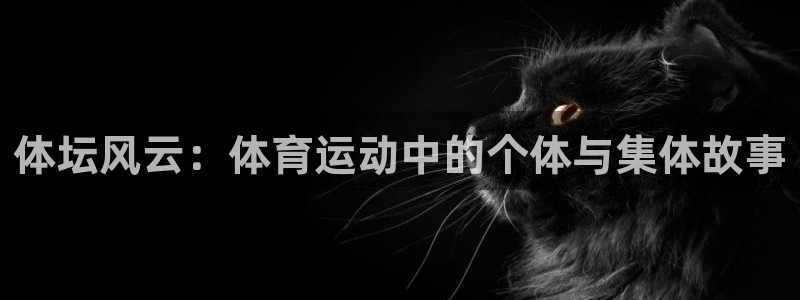 利记官方正版app官网：体坛风云：体育运动中的个体与集体故事