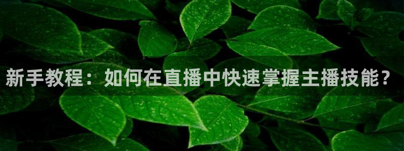 咪咕体育直播在线观看：新手教程：如何在直播中快速掌握主播技能？