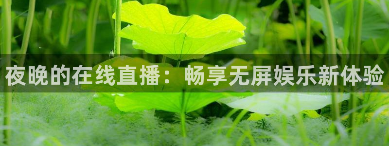 咪咕高清免费直播：夜晚的在线直播：畅享无屏娱乐新体验