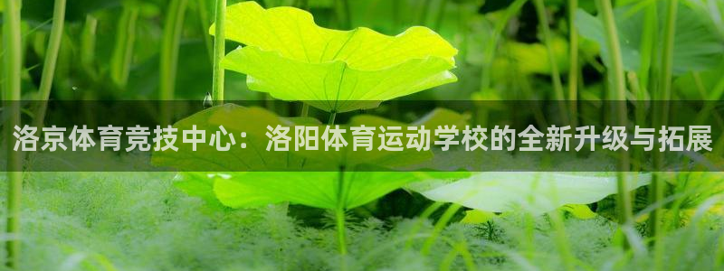 利记sbobet
