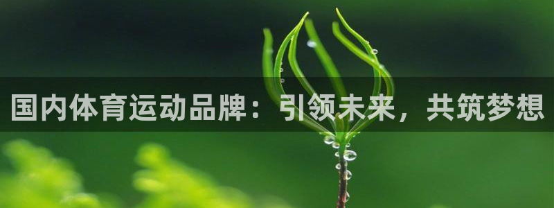 利记注册平台：国内体育运动品牌：引领
