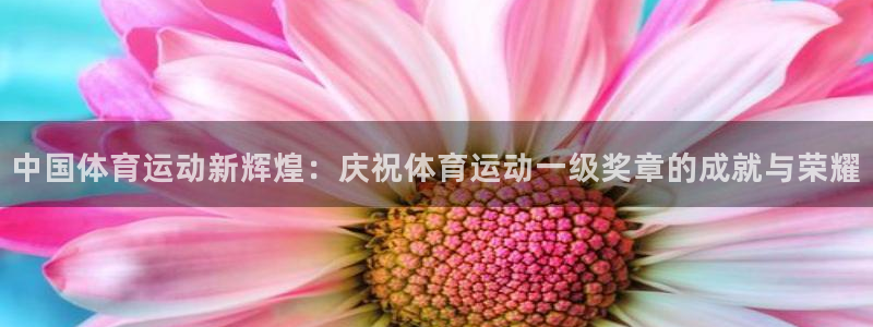  利记科技有限公司：中国体育运动新辉煌：庆祝体育运动一级奖章的