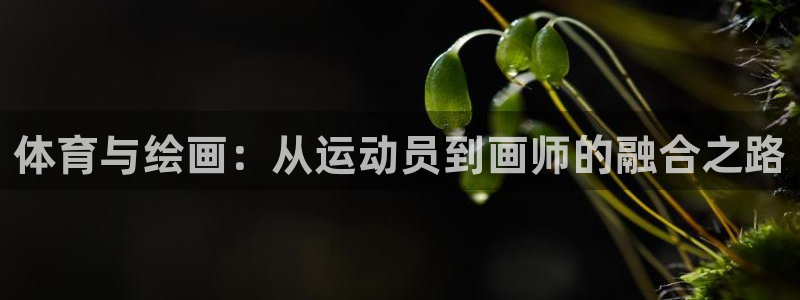 sbo利记：体育与绘画：从运动员到画