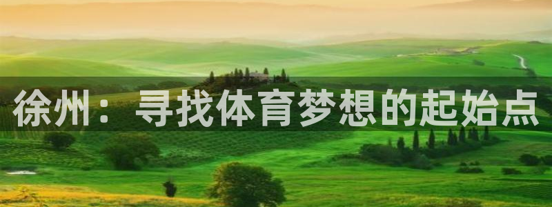  利记体育app：徐州：寻找体育梦想的起始点