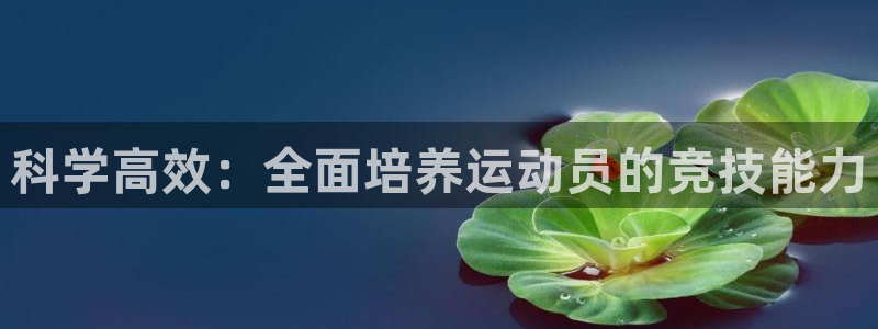 利记官网登录入口：科学高效：全面培养运动员的竞技能力