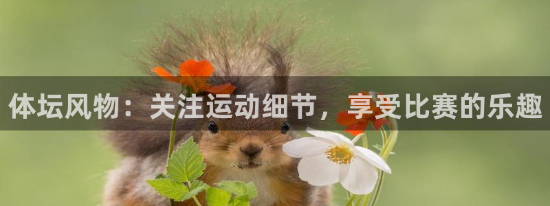 利记sbobet黑款吗：体坛风物：关