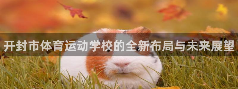 利记官网多少：开封市体育运动学校的全新布局与未来展望