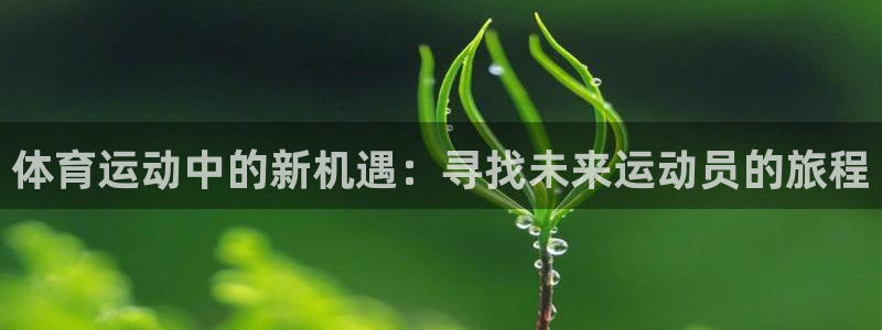 利记官网多少：体育运动中的新机遇：寻