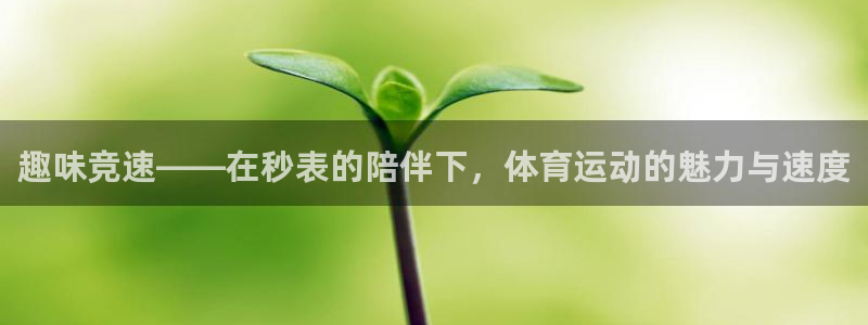 利记官网备用网址：趣味竞速——在秒表