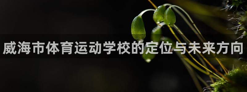 利记sbob欧赔分析：威海市体育运动