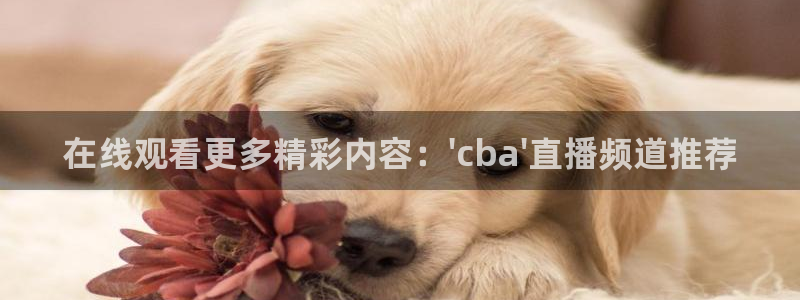 咪咕体育：在线观看更多精彩内容：\'cba\'直播频道推荐