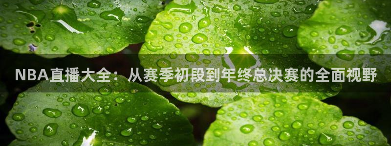 咪咕视频在线观看直播：NBA直播大全：从赛季初段到年终总决赛的全面视野