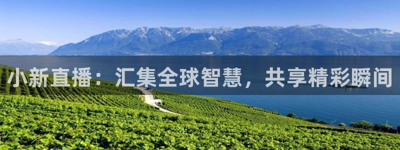 咪咕篮球直播：小新直播：汇集全球智慧，共享精彩瞬间