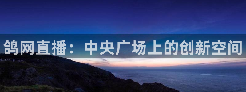 咪咕视频在线观看：鸽网直播：中央广场上的创新空间