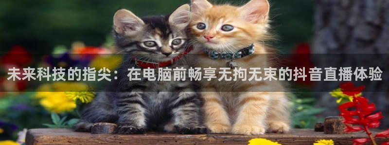 体育咪咕直播：未来科技的指尖：在电脑前畅享无拘无束的抖音直播体验