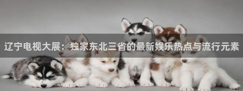 咪咕视频客户端下载：辽宁电视大展：独家东北三省的最新娱乐热点与流行元素
